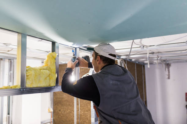 Insulation Repair Services in Kahaluu, HI